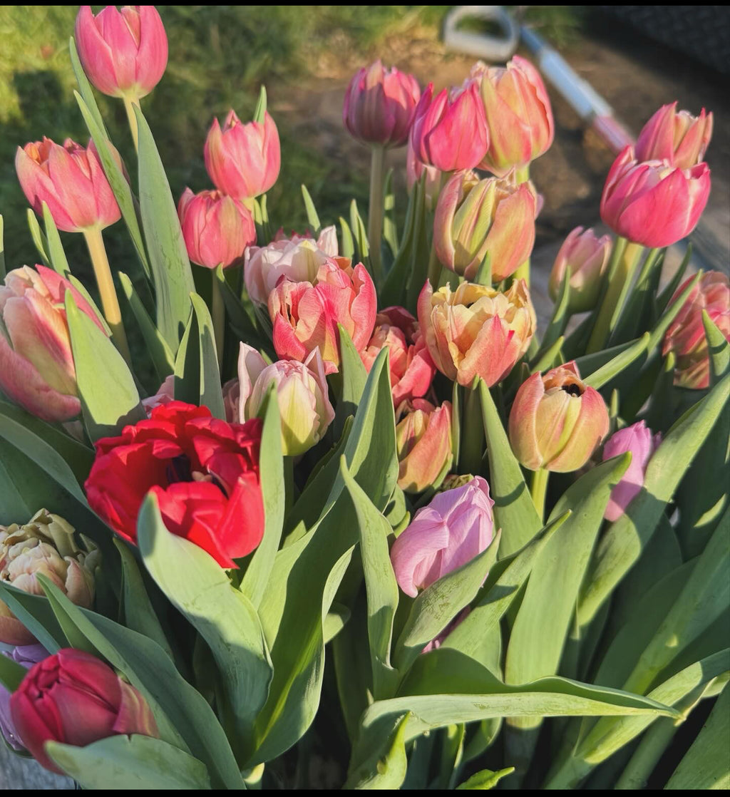 Mother's Day Bouquet