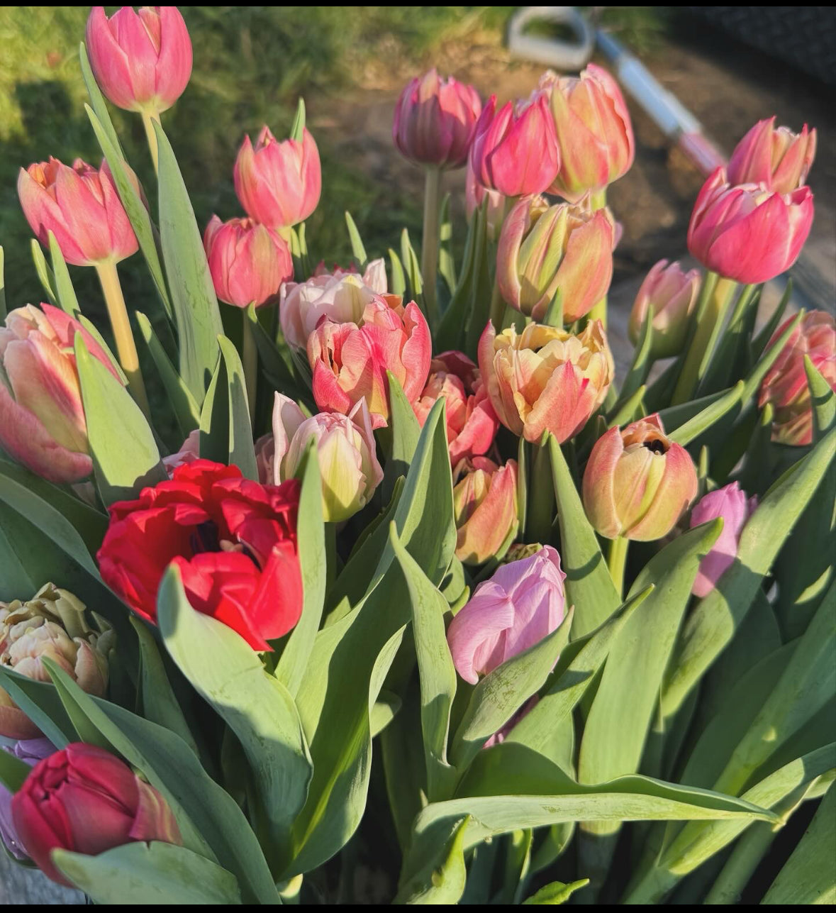 Mother's Day Bouquet