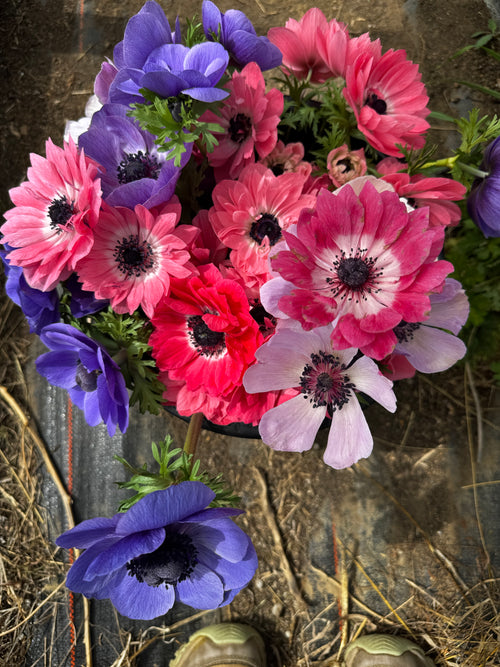 Mother's Day Bouquet